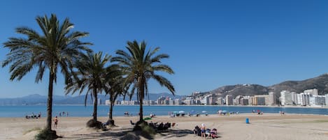 Na praia, areia branca, 5 bares na praia