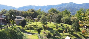 Ue no Dai Midori no Mura