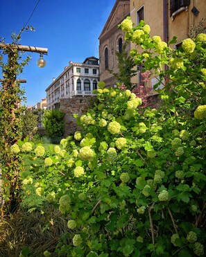 Exterior - Madama garden retreat (Venice)