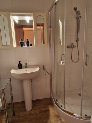 House, Lake View | Bathroom