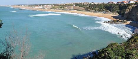 サンラウンジャー