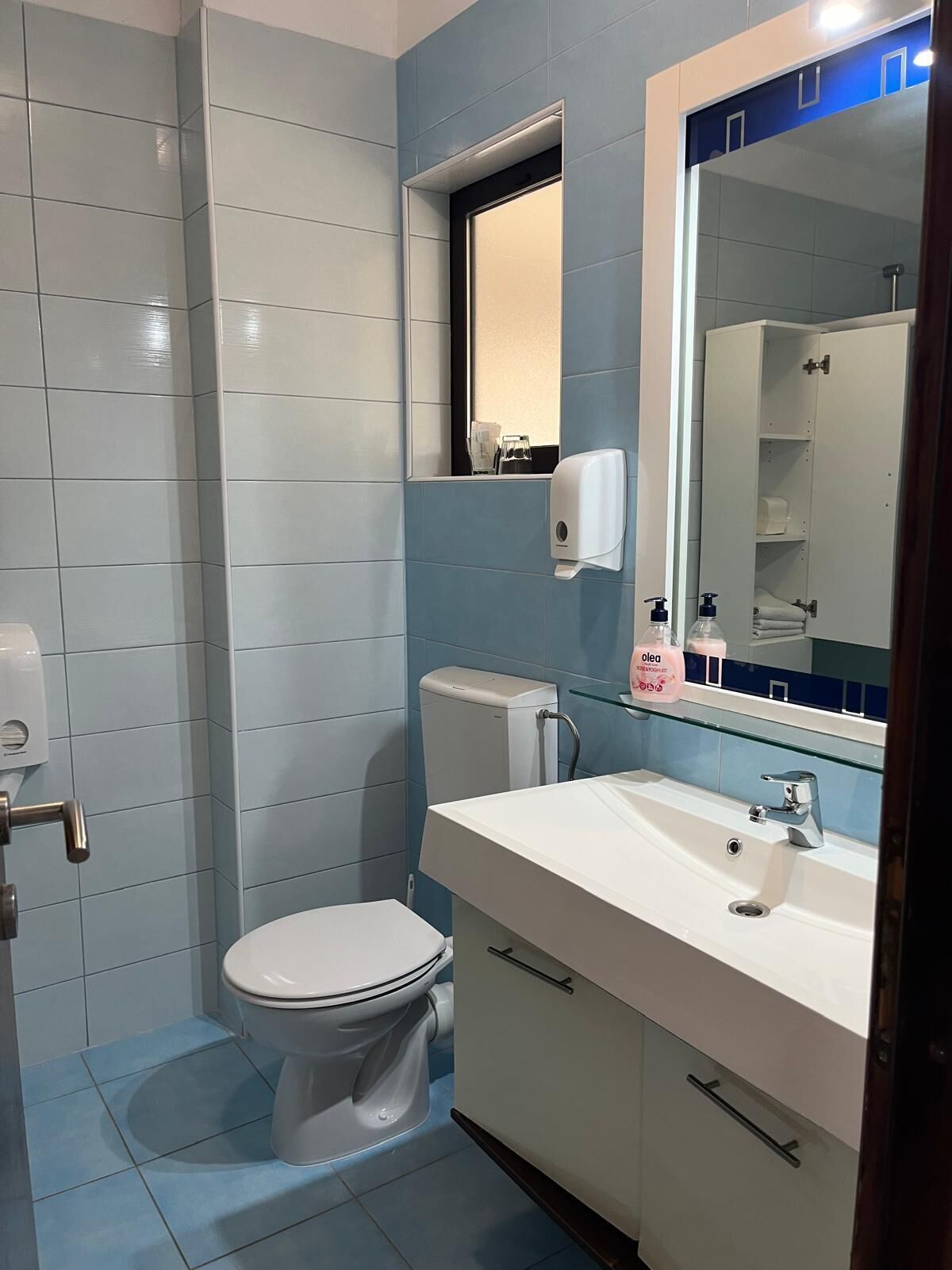 Un baño con inodoro, lavabo y espejo.