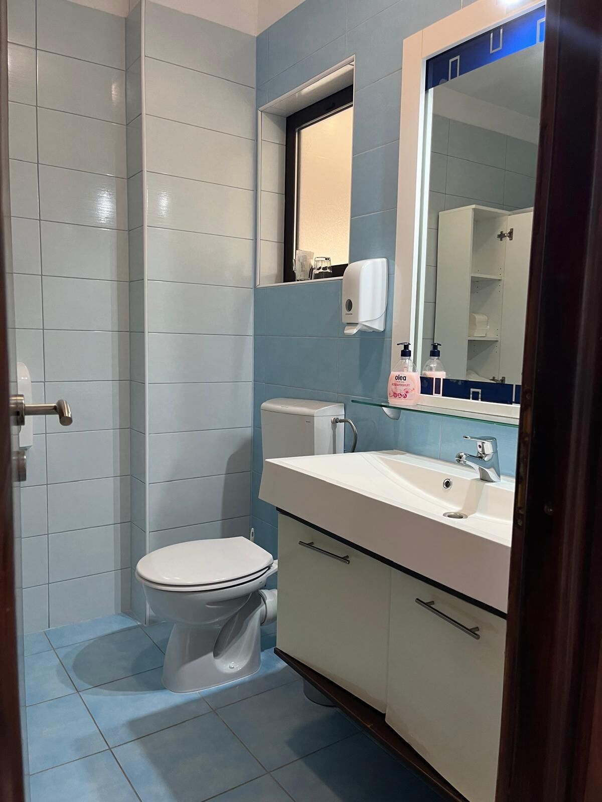 Un baño con inodoro, lavamanos y espejo.