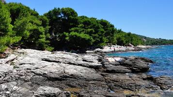 ์๋ฐ ์์ค ์ ๋ฉด