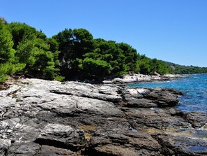 A rocky coastline with clear blue sea, dense green trees, and a small building in the background. - Hotel Ana Murter (Murter-Kornati)