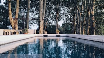 Seasonal outdoor pool, sun loungers