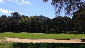 Campo de golfe com um bunker de areia, árvores e uma bandeira que marca a buraco.