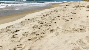 Una playa arenosa con huellas y olas al fondo.