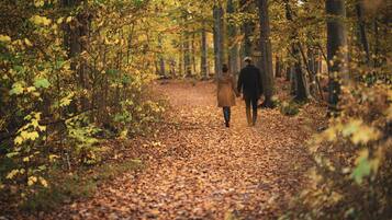 Una pareja caminando por un sendero cubierto de hojas en un bosque.