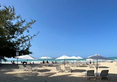 The Pelican Poshtel