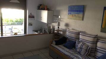 Televisie, een dvd-speler en boeken