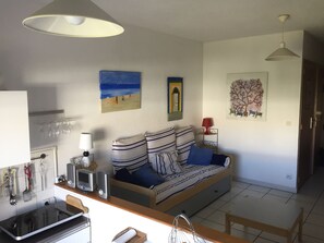 Televisión, reproductor de DVD y libros 