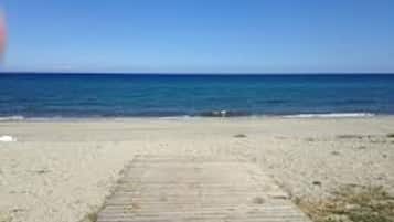 Accommodatie ligt op het strand, ligstoelen