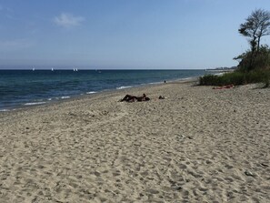 En la playa y camastros 