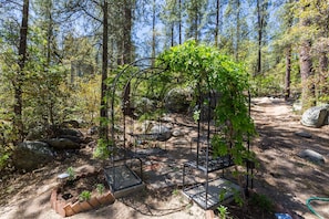 Outdoor wedding area