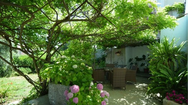 Un patio jardín con una mesa y sillas, rodeado de plantas en macetas y un árbol grande.