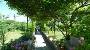 Un sendero en un jardín con macetas y flores.