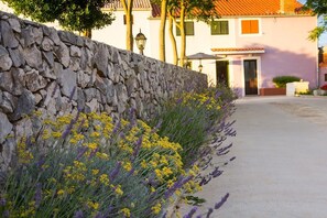 Property grounds - Bonic - Aparment Bonic 1 (Mali Losinj)