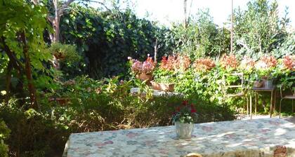 Vini - Apartment Vini