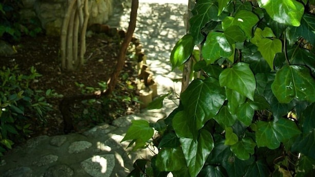 Unclassified image, 1 of 26, button - Dali - Apartment Dali (Mali Losinj)