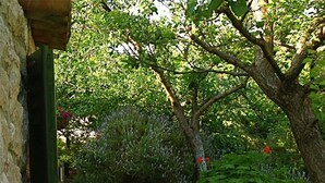A stone pathway leading to a garden with various plants and flowers.