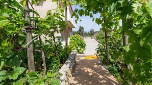 Property grounds - Ani 1 - Apartment Ani 1 (Mali Losinj)