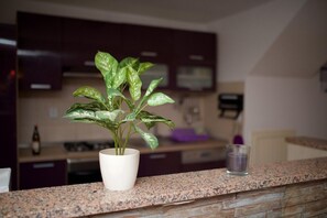 Apartment (3 Bedrooms) | Eigene Küche | Großer Kühlschrank, Mikrowelle, Ofen, Herdplatte