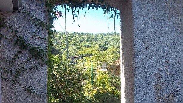 Jardín