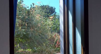 Anita - Apartment Jasmina