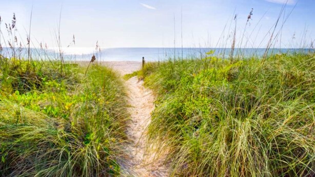 Plage à proximité