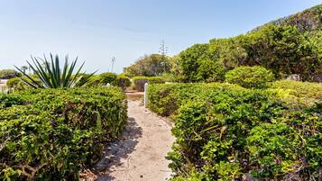 House, 3 Bedrooms | Property grounds