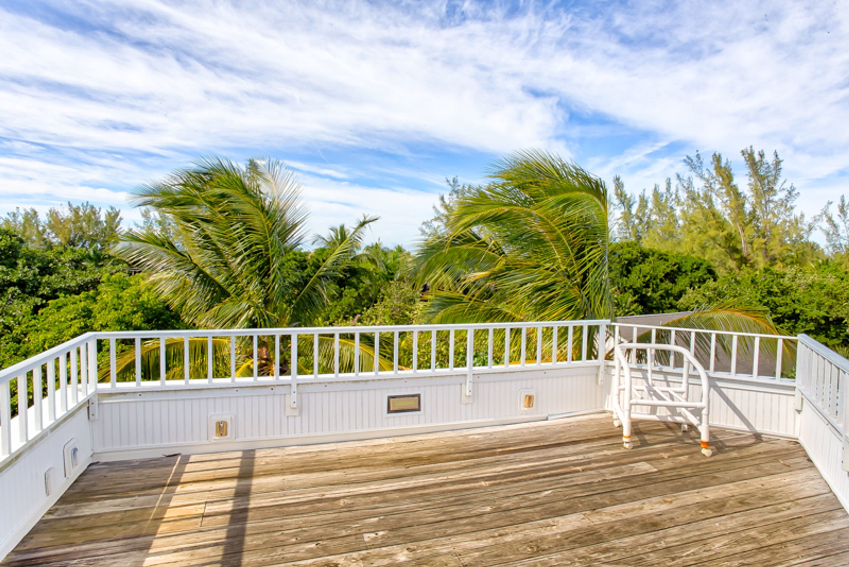 A wooden deck with a white railing, palm trees, and a clear sky.