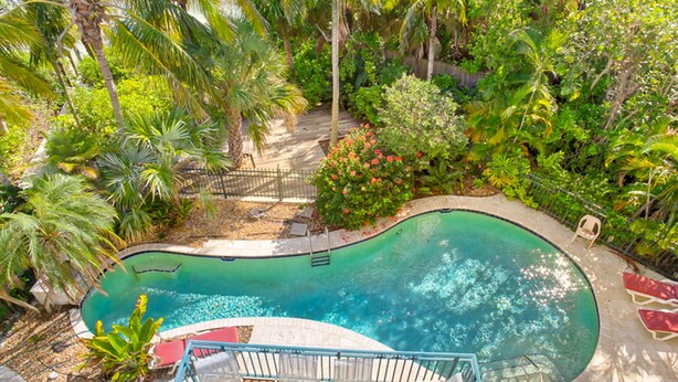 A swimming pool surrounded by lush greenery and palm trees. - Sea Otter (Captiva)