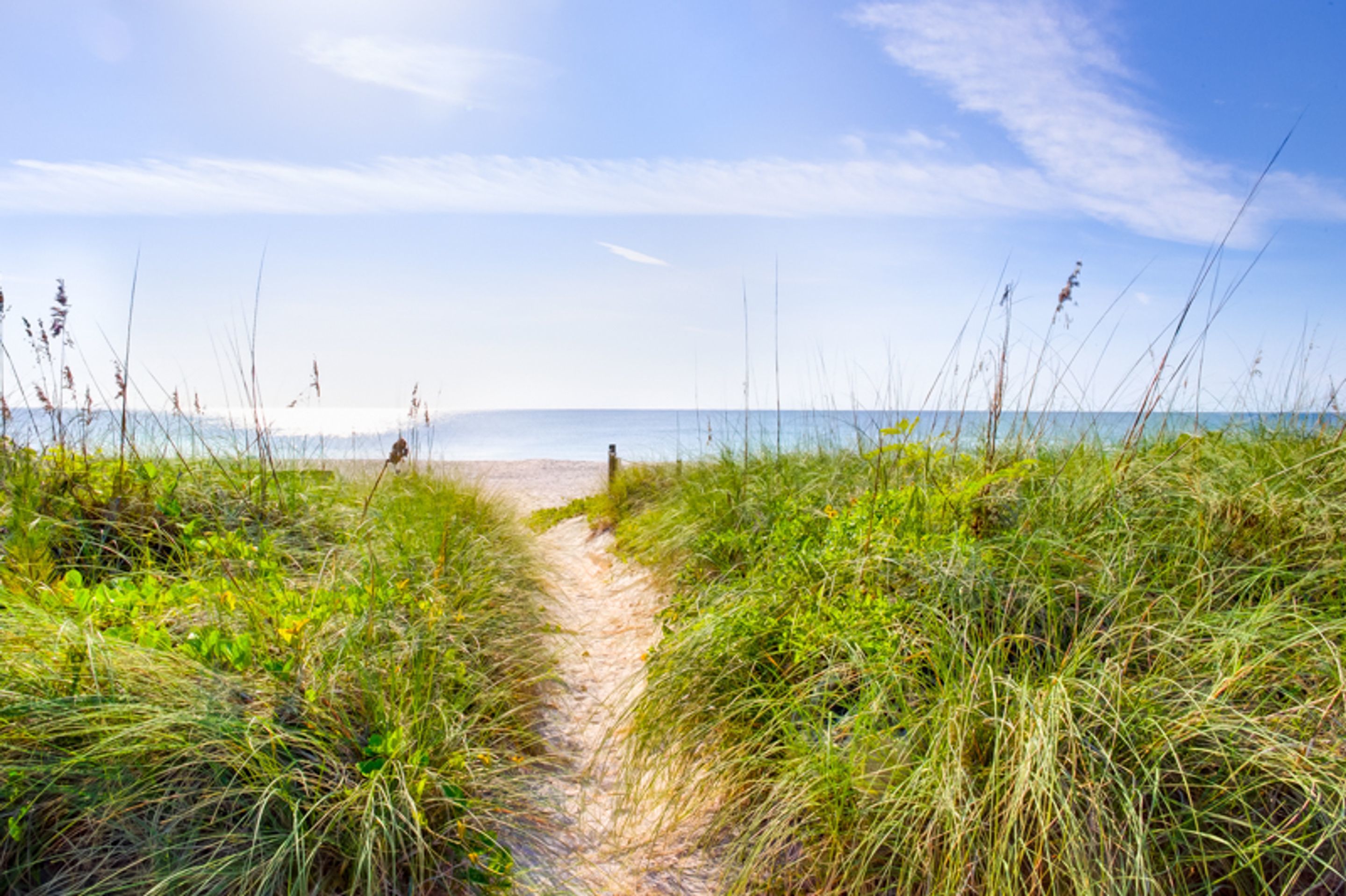 Condo, 2 Bedrooms | Beach | Beach nearby