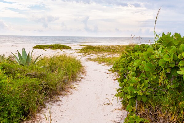 Condo, 1 Bedroom | Beach