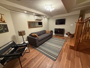 Smart TV, fireplace, video games, books