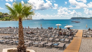 Zona d'estar a la platja amb files de gandules i ombrelles, una palmera i vista al mar amb vaixells a la distància.