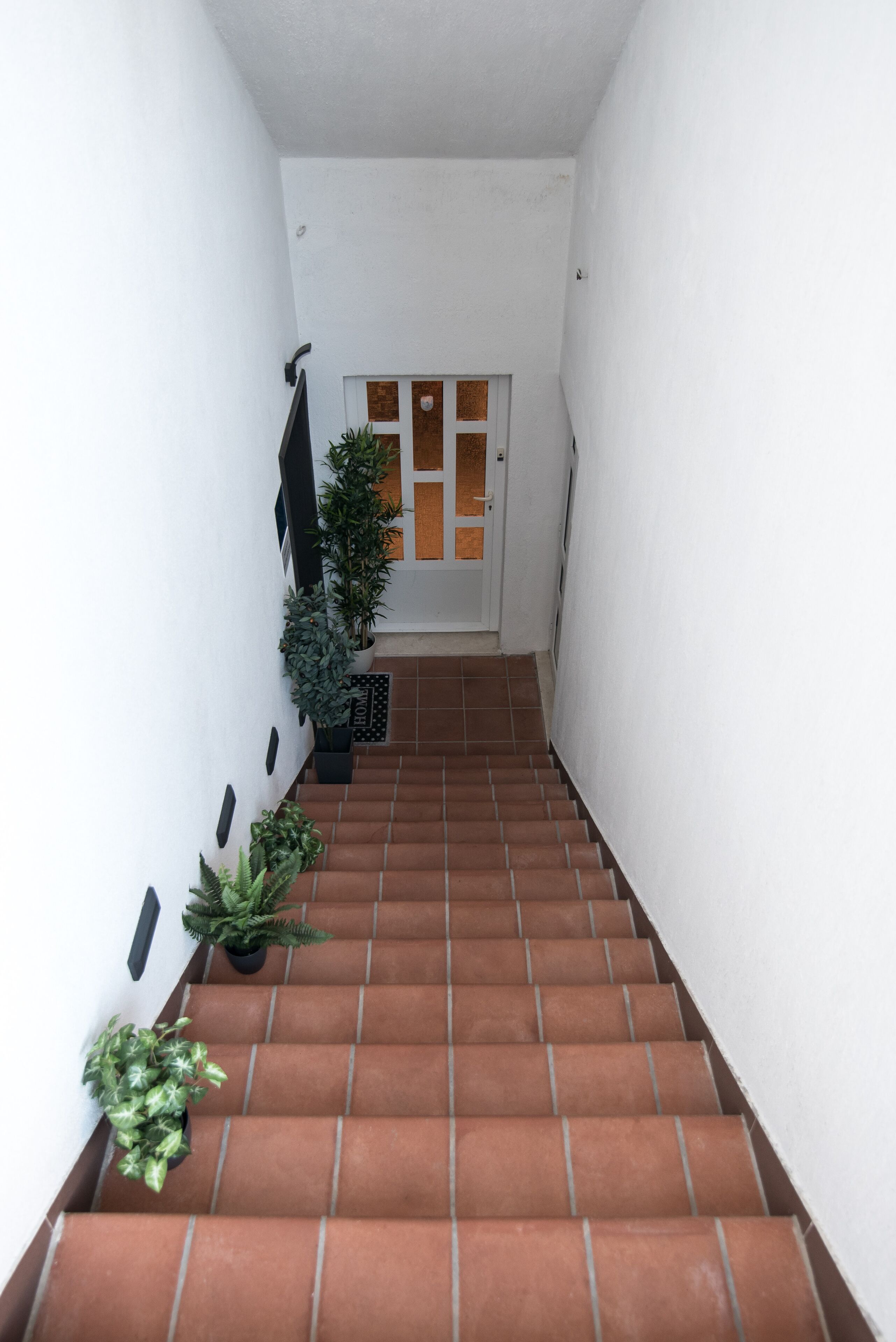 Foto - Dubrovnik Spectrum Rooms