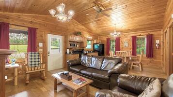 Älytelevisio, takka, DVD-soitin, videokirjasto