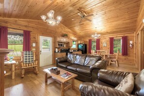 Älytelevisio, takka, DVD-soitin, videokirjasto