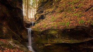 A waterfall in a forested area with rocky terrain and leaf-covered ground.