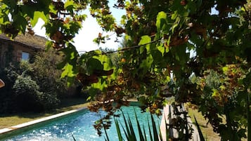 Una piscina al aire libre de temporada, sombrillas, tumbonas