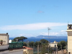 Vista desde la propiedad