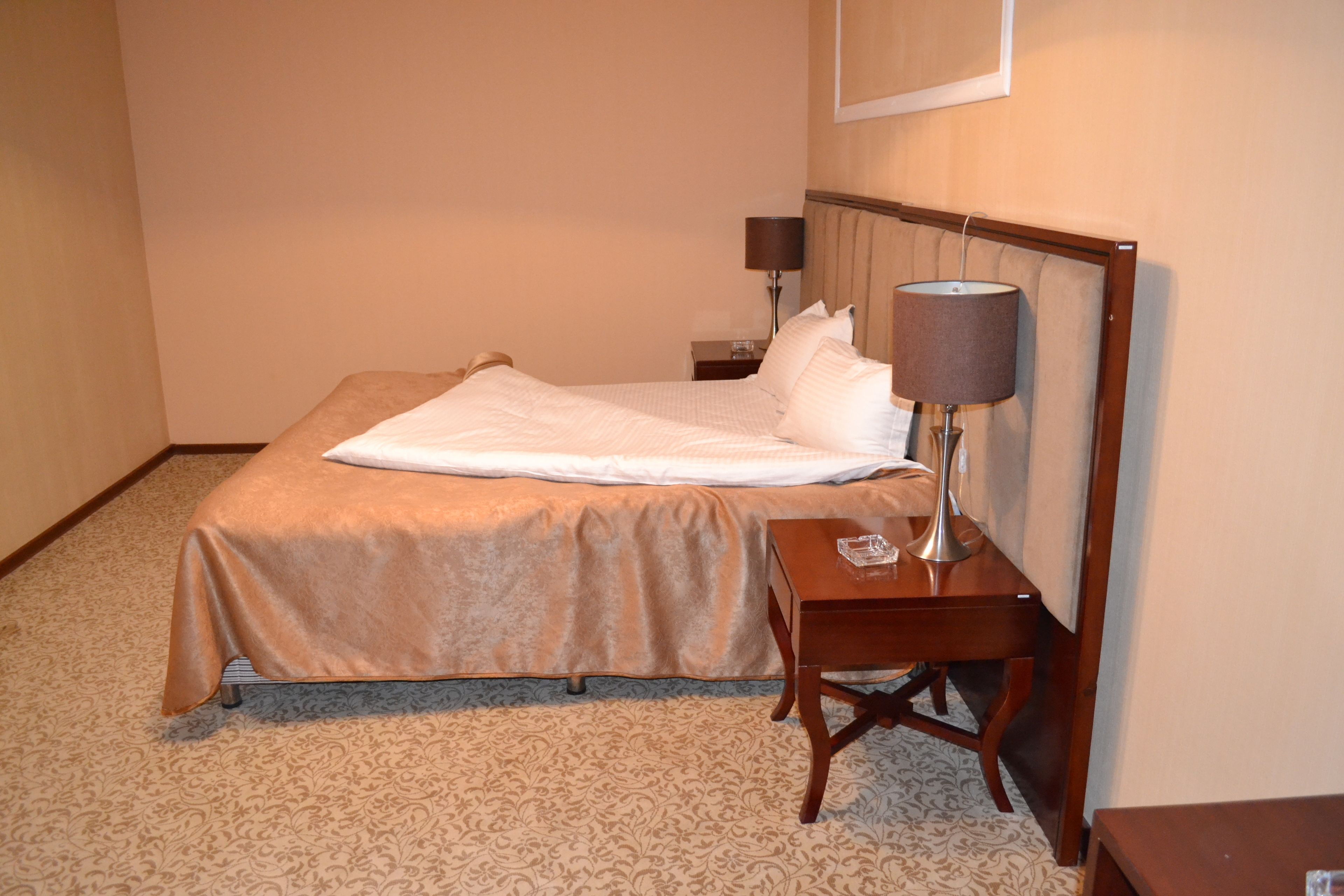 standard double room | iron/ironing board, rollaway beds, free wifi, bed sheets