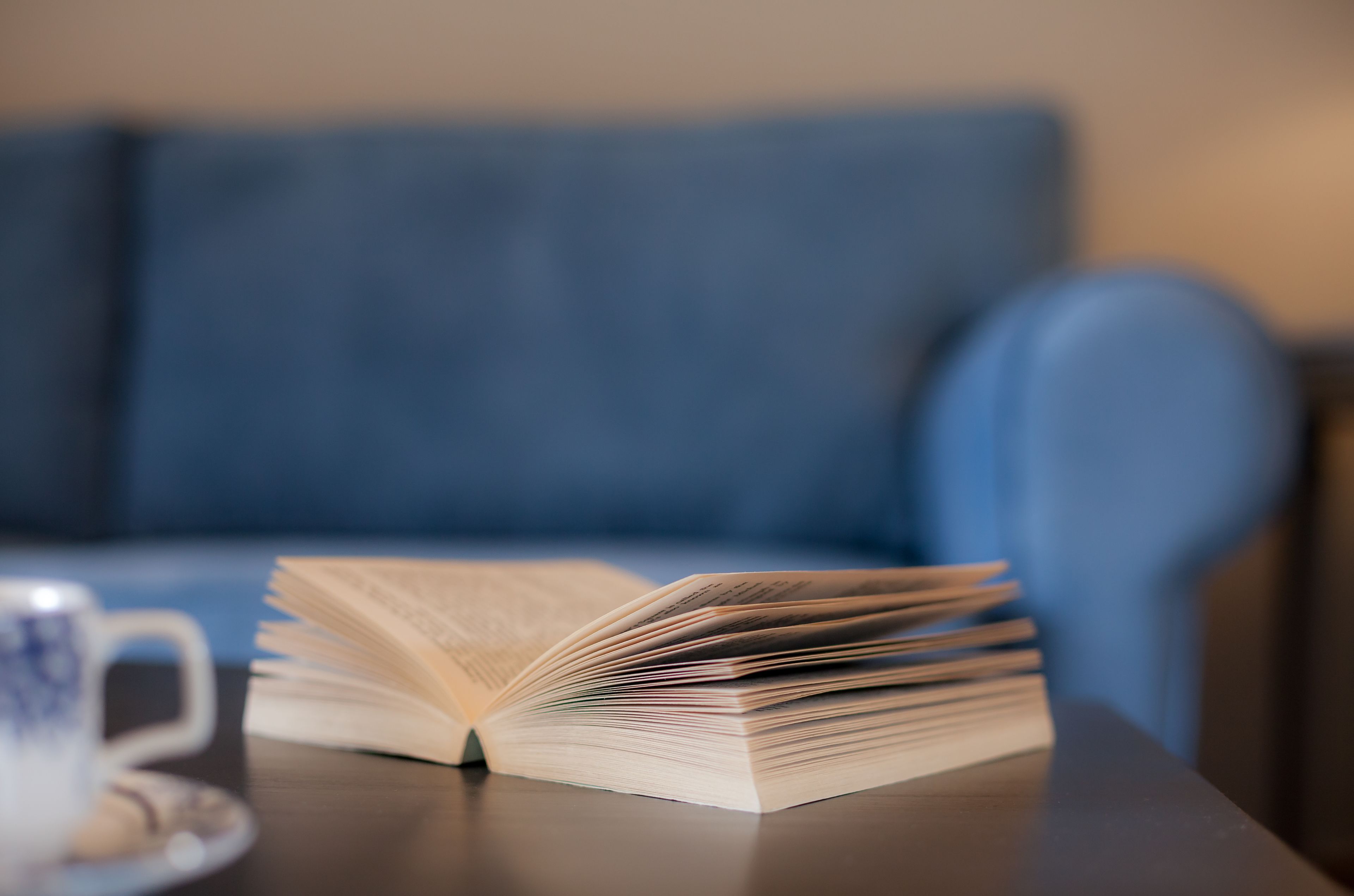 superior suite, garden view | living area | lcd tv, fireplace