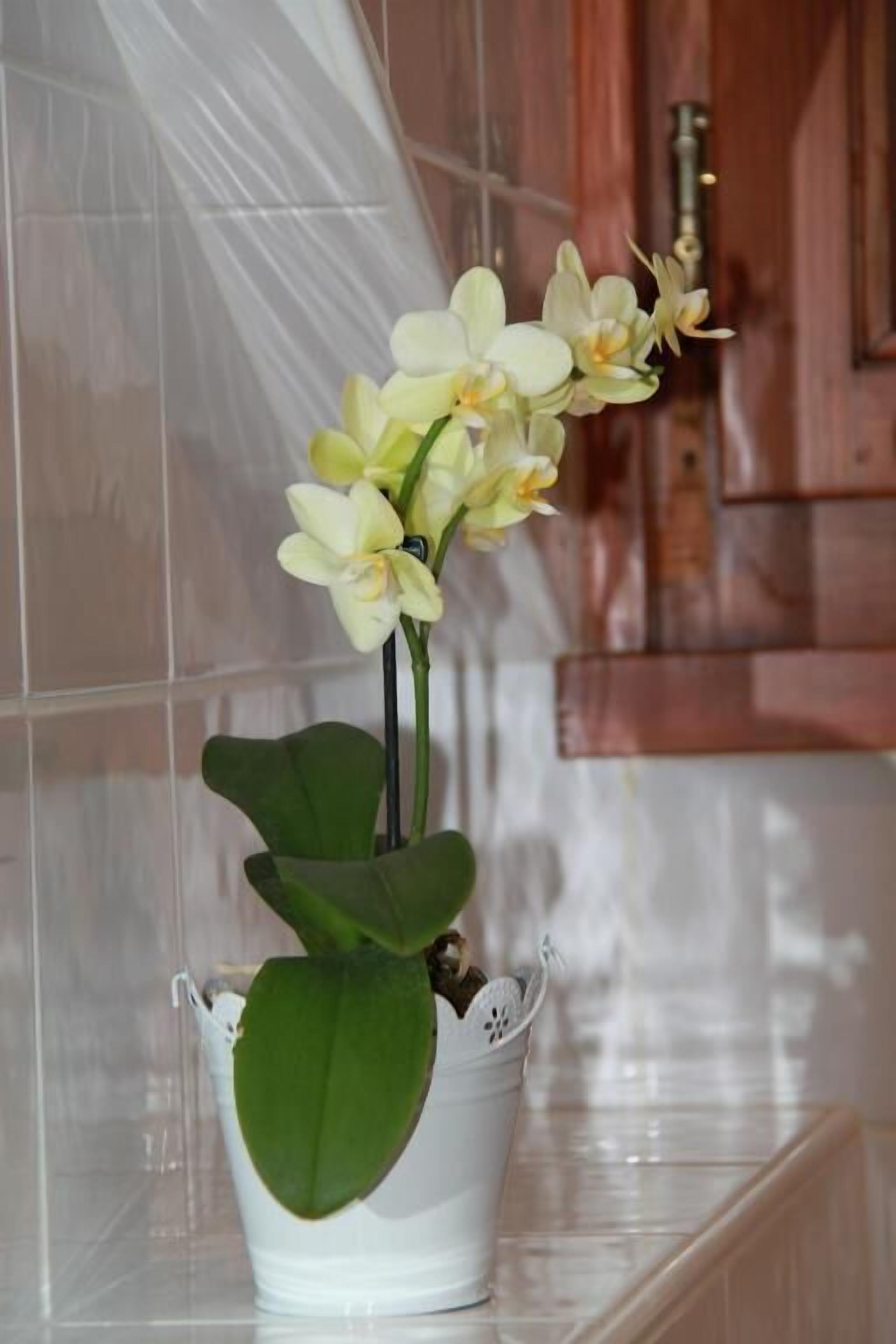 free toiletries, hair dryer, bathrobes, slippers