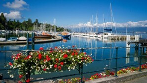 Un puerto deportivo con barcos amarrados, cielo despejado y un parterre floral en primer plano.