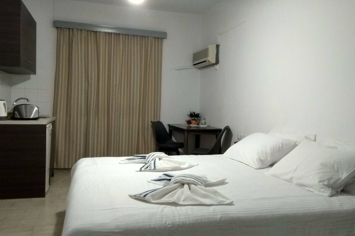 A hotel room with a bed, a desk, a chair, a small table with a plant, and a window with curtains.