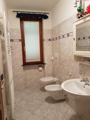 Shower, hair dryer, bidet, towels