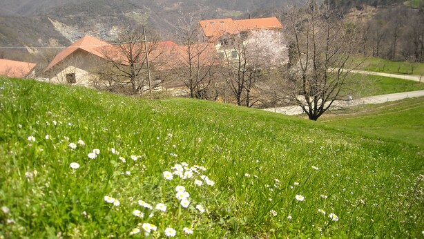A rural landscape with a building featuring a red roof, surrounded by trees and a grassy foreground with white flowers. - Azienda Agrituristica Lavagè (Rossiglione)